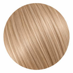 Ash Cashmere VIX human hair color swatch