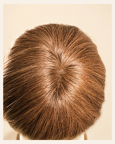 Crown view of The Motion Archive Piece in Cappuccino showing the top and part