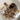 Archive Pieces collection showing discontinued wigs and overstock inventory