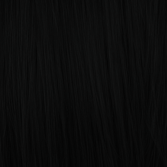 Natural Black BRIXA human hair color swatch